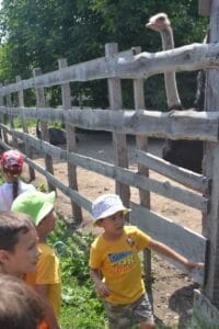 Părintele George Ouatu din NEAMȚ a amenajat o mini-grădină zoo! „Am vrut să le dau tinerilor un imbold să revină la țară” - News Moldova