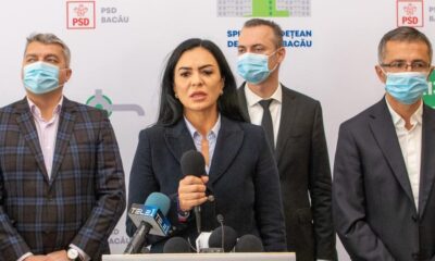 DECLARAȚII de AVERE 2022 | Bianca PURCĂRIN, senator PSD BACĂU - News Moldova