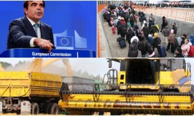 vicepresedintele-comisiei-europene:-„foametea-va-genera-un-val-urias-de-migranti-in-europa”