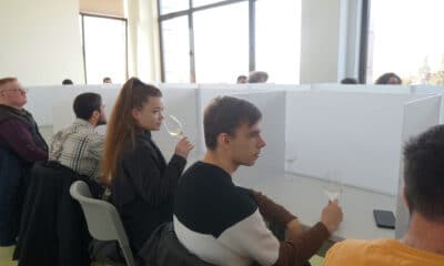 Iubitorii de PEISAGISTICĂ și PASIONAȚII de VIN sunt invitați la cursuri susținute de specialiști ai USV IAȘI - News Moldova