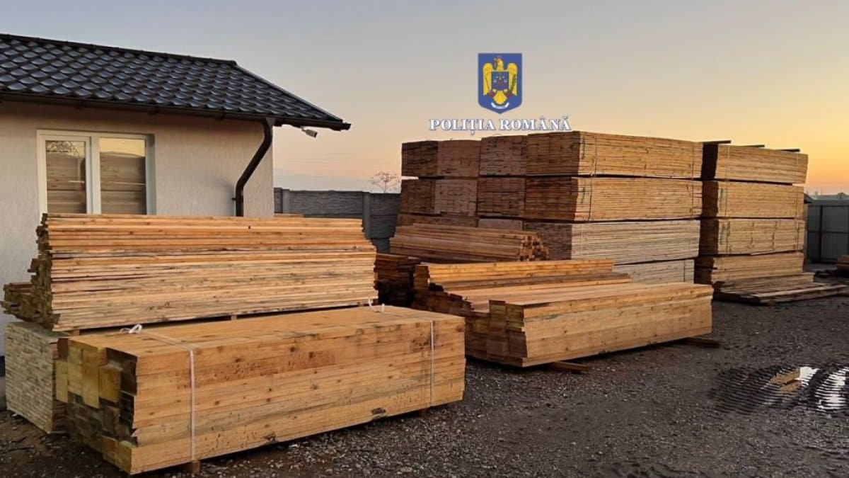 146 perchezitii bucuresti 16 judete hoti lemne 791845 - News Moldova