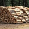 pretul-metrului-cub-de-lemn-de-foc-a-fost-plafonat-la-500-de-lei.-exportul-va-fi-interzis