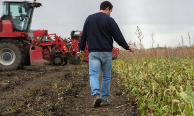 fermierii-romani,-afectati-semnificativ-de-importurile-masive-de-produse-agricole-ucrainene