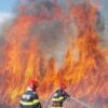 Pericolul neașteptat: Un incendiu de vegetație a fost declanșat de scântei electrice - News Moldova