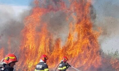 Pericolul neașteptat: Un incendiu de vegetație a fost declanșat de scântei electrice - News Moldova