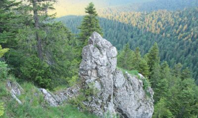 ariile-naturale-protejate-din-cadrul-directiei-silvice-suceava:-bijuterii-ale-biodiversitatii-si-patrimoniu-natural-–-moldova-invest