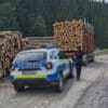 Amendă de 15.000 lei pentru o societate nemțeană pentru deținere ilegală de material lemnos - News Moldova