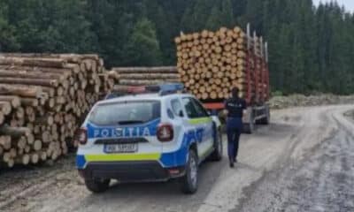Amendă de 15.000 lei pentru o societate nemțeană pentru deținere ilegală de material lemnos - News Moldova