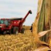 impactul-schimbarilor-climatice-asupra-agriculturii-moldovenesti.-noi-abordari-in-dezvoltarea-culturilor-agricole