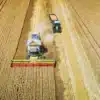 asociatia-fermierilor-din-romania-cere-guvernului-sa-prelungeasca-unilateral-embargoul-pentru-importul-de-cereale-din-ucraina