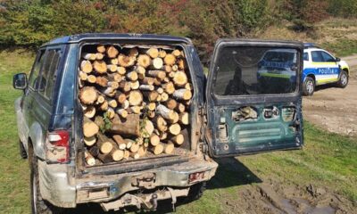 hoti de lemne politie masina furt e1669832027413 - News Moldova