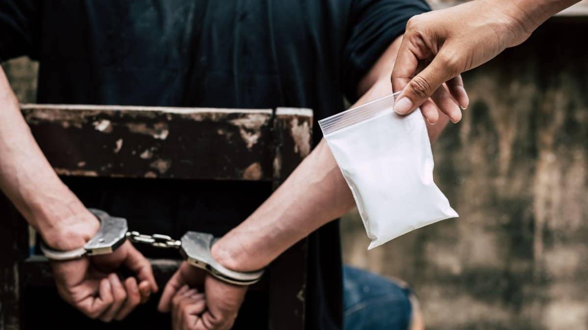 sapte tineri elevi arestati trafic droguri risc tulcea canabis scoala 858172 - News Moldova