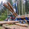 volumul-de-lemn-exploatat-anul-trecut,-in-padurile-romaniei,-a-inregistrat-o-scadere-5,6 %-fata-de-anul-2021
