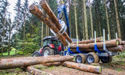 volumul-de-lemn-exploatat-anul-trecut,-in-padurile-romaniei,-a-inregistrat-o-scadere-5,6 %-fata-de-anul-2021