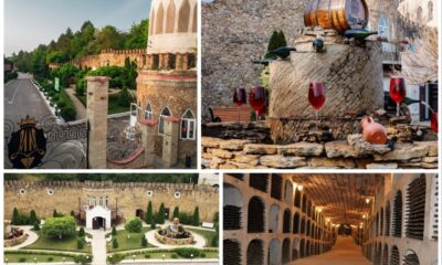 combinatul-de-vinuri-de-calitate-“milestii-mici”:-traditie,-inovatie-si-excelenta-in-patria-vinurilor-moldovenesti