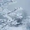 frig ger ninsoare e1577366012335 - News Moldova