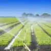 agricultorii-pot-accesa-fonduri-nerambursabile-de-pana-la-1,5-milioane-de-euro-pentru-modernizarea-sistemelor-de-irigatii