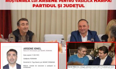 Trio-ul Arsene-Nita-Harpa și beneficiile din contractele publice - News Moldova